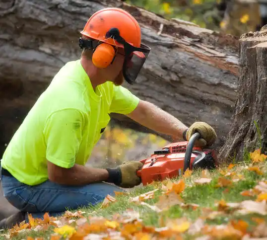 tree services Tylertown